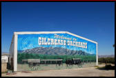Gilcrease Orchards, pick your own fruits & vegetables,and cider in Centennial Hills